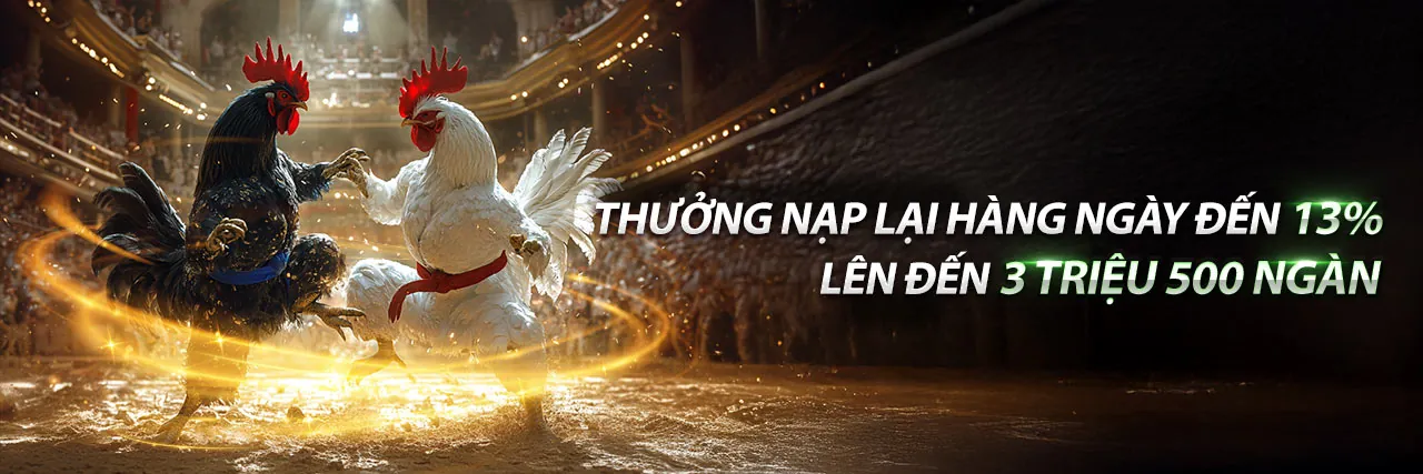Hoàn trả cược đabet